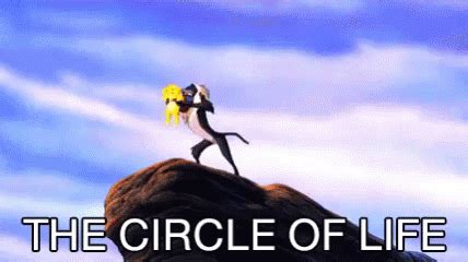 circle of life gif|Circle Of Life GIFs .